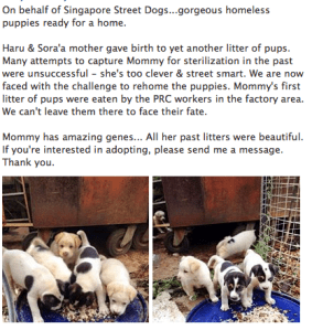 Screen shot 2014-02-24 at 11.12.46 AM